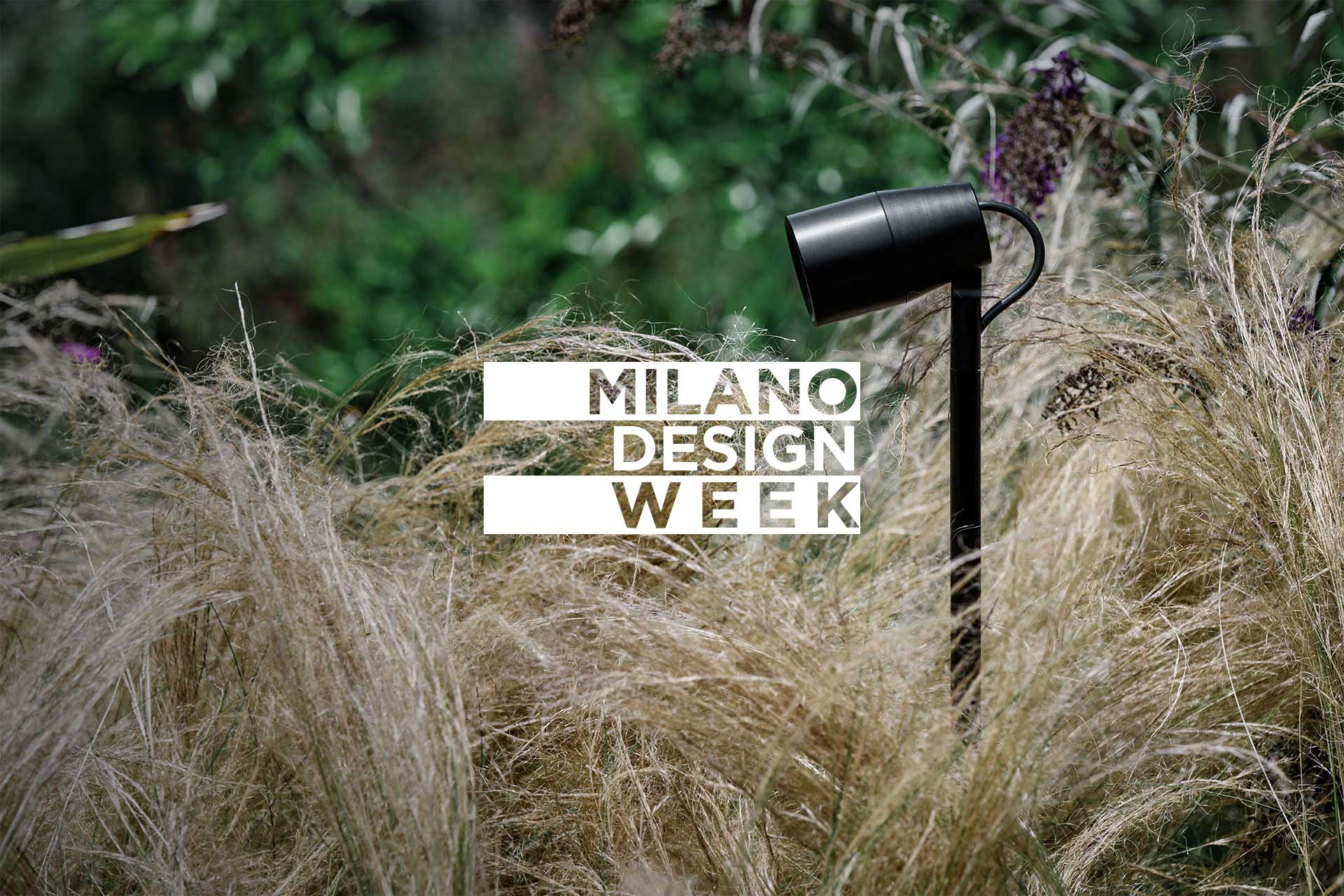 Flamingo at the Salone del Mobile 2024