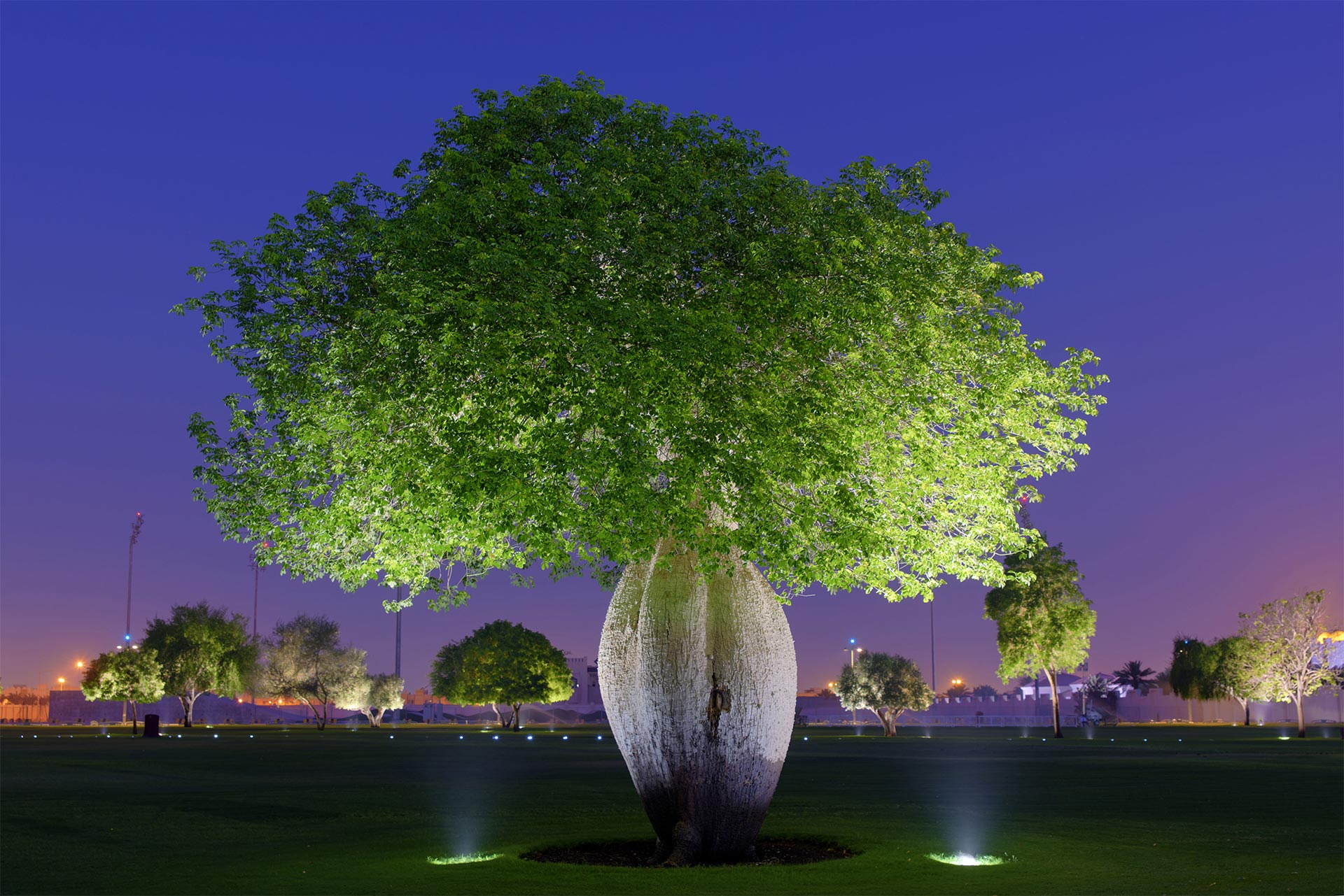 Aspire Park