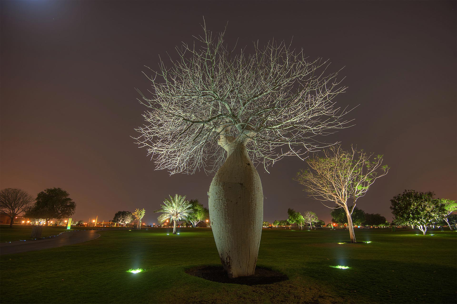 Aspire Park
