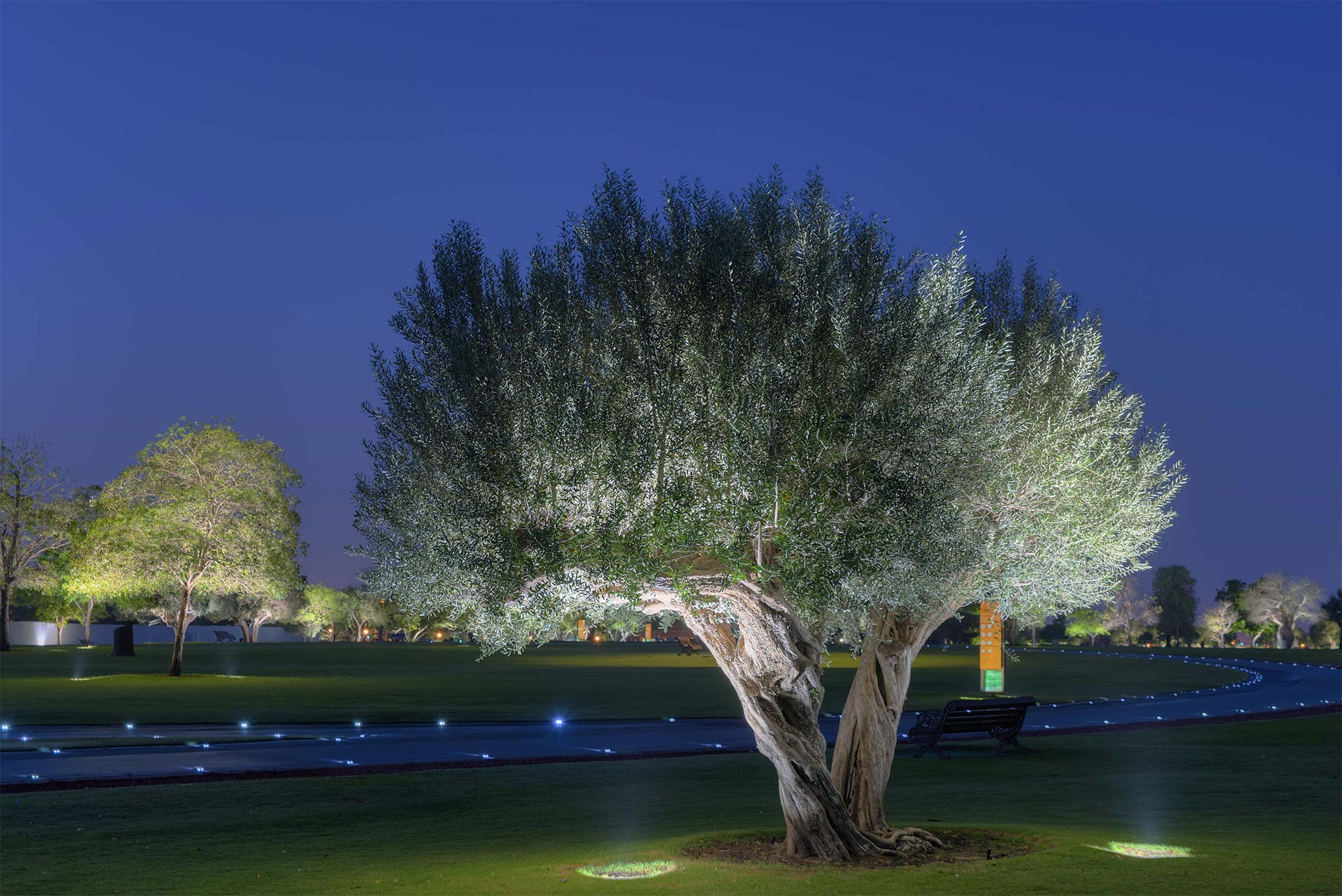 Aspire Park