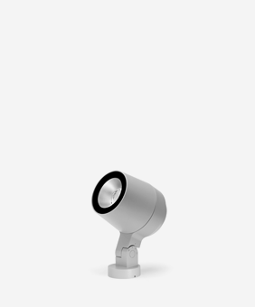 Ring Medium